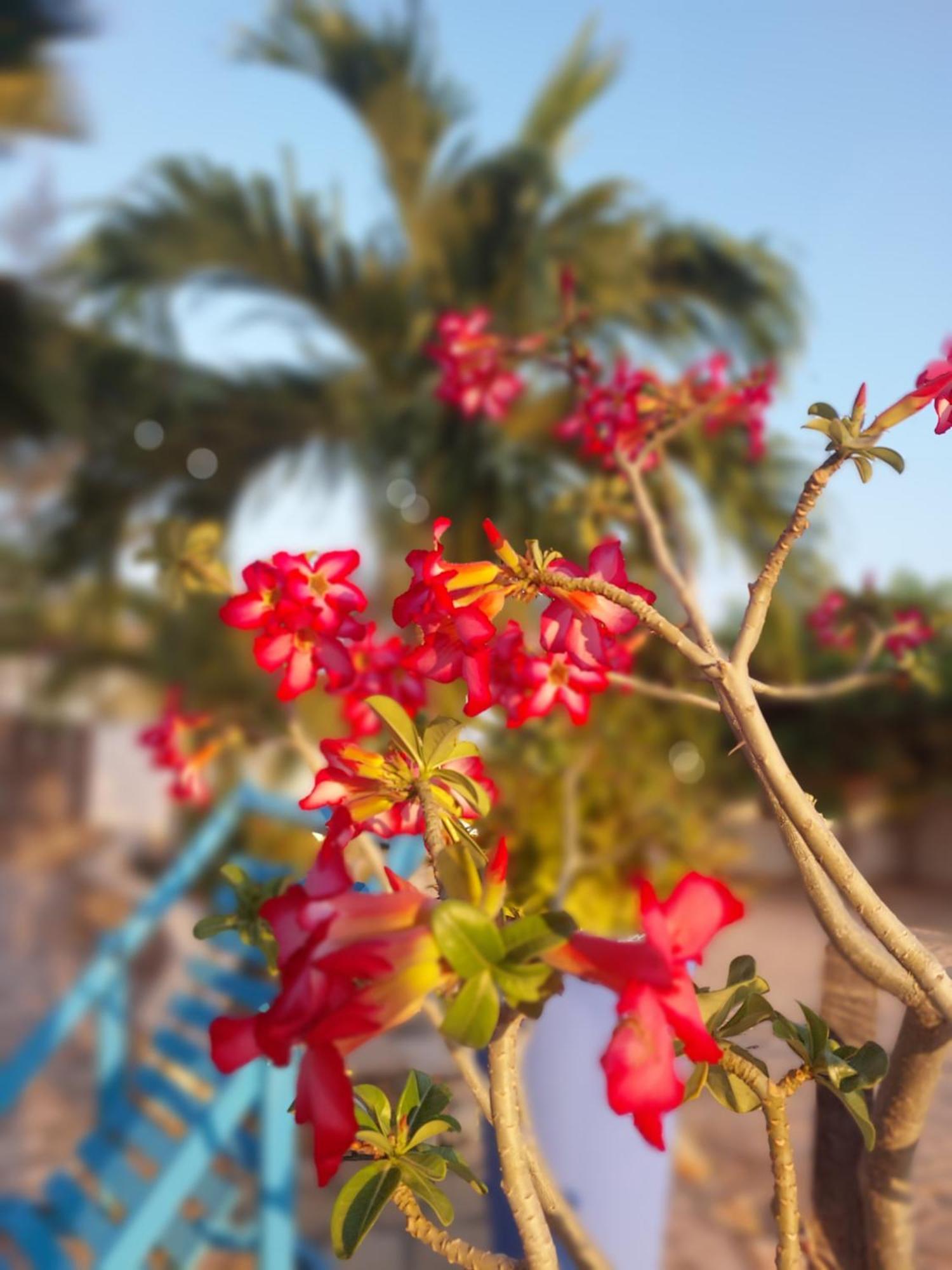 קנואה קבראדה Manga Rosa Hospedagem מראה חיצוני תמונה